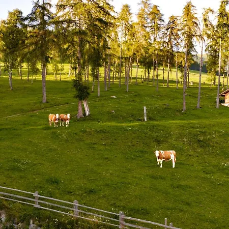 Forchnerhof Nature & Mountain View Apartment *